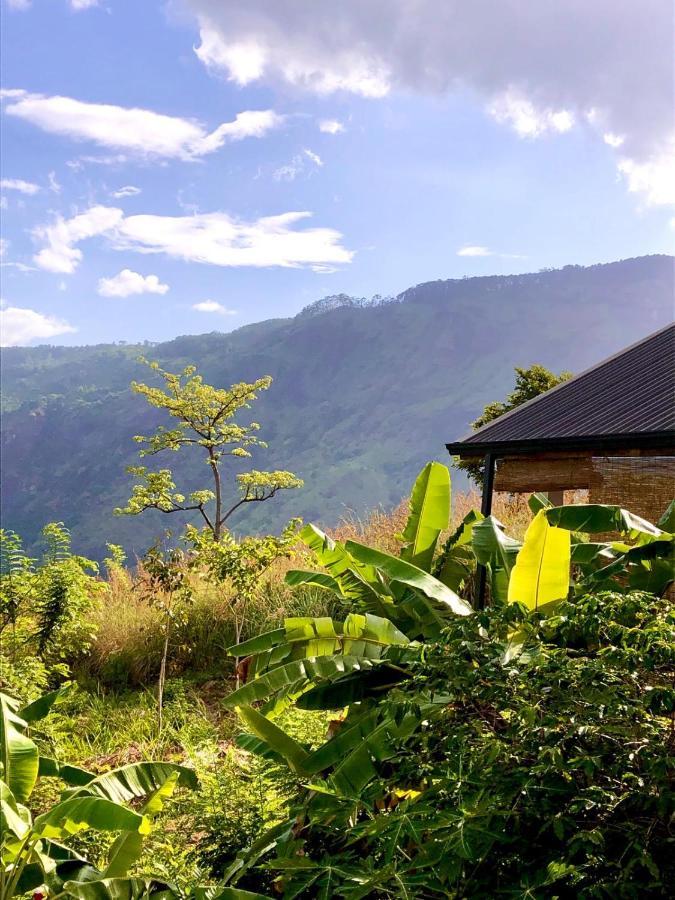 엘라 Shambala Retreat B&B 외부 사진